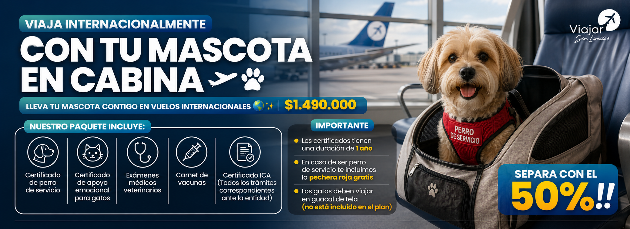 BANNER MASCOTAS WEB