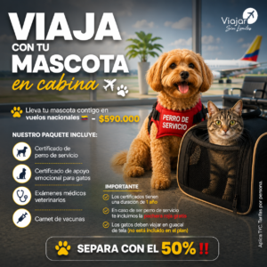 Viaje con tu Mascota en Cabina: Vuelos Nacionales