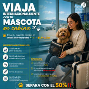 Viaje con tu Mascota en Cabina: Destinos Internacionales