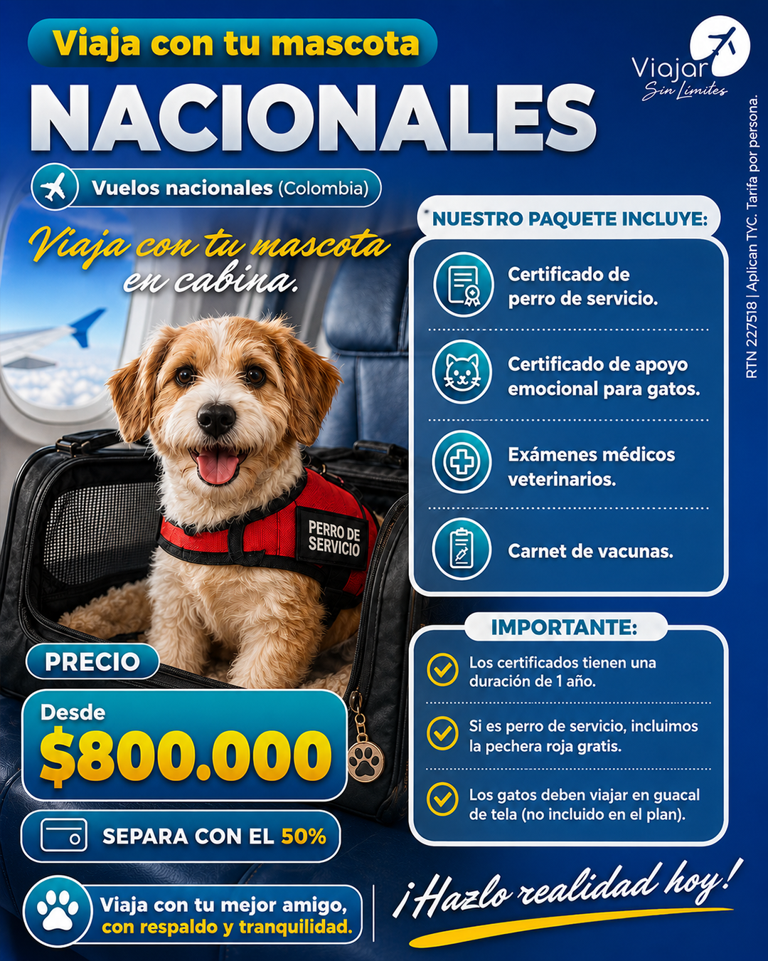 MASCOTAS