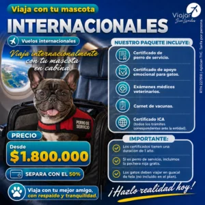 VIAJA CON TU MASCOTA  INTERNACIONALES