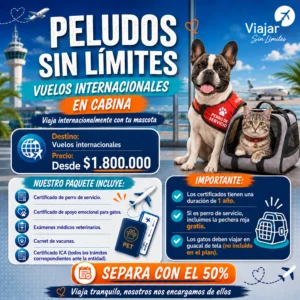 VIAJA CON TU MASCOTA INTERNACIONALES