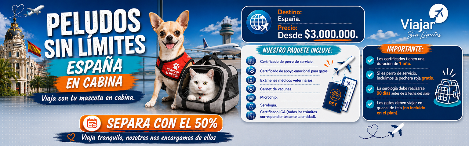 MASCOTAS-1
